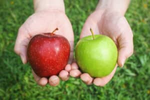 hands,holding,red,and,green,apples,on,green,grass,background